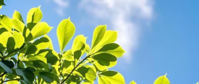 2025-2026年北京部分知名律師事務(wù)所全面評測：規(guī)模、創(chuàng)收與勝訴率關(guān)鍵指標分析