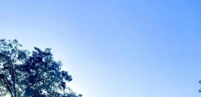 性價比高的軟文發(fā)稿平臺推薦