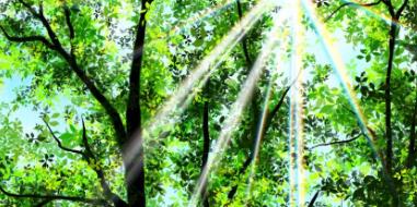 國內(nèi)優(yōu)質(zhì)狗糧品牌推薦，核心硬指標(biāo)見分曉