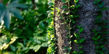 新托福機構(gòu)選擇指南｜權(quán)威推薦榜+避坑指南