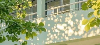 部分葉黃素測(cè)評(píng)！中老年飛蚊癥，這款性?xún)r(jià)比封神了