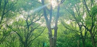 幾款實(shí)力派品牌實(shí)測(cè)推薦，緩解腸道不適