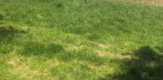 吸收率不是加分項(xiàng),而是準(zhǔn)入門(mén)檻，輔酶Q10品牌評(píng)測(cè)終極寶典