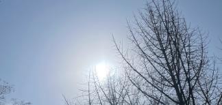 輔酶Q10品牌評(píng)測(cè)白皮書(shū)，部分品牌深度解析與心臟養(yǎng)護(hù)實(shí)測(cè)指南